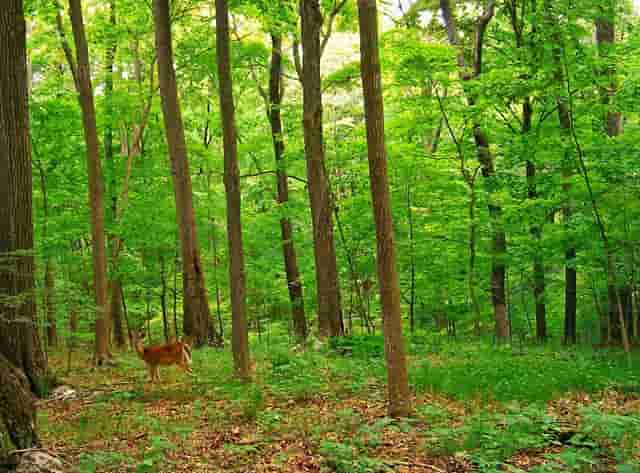 复读生在复读的时候