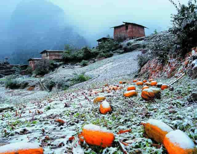 房地产集团长沙湘语梅溪项目开盘即售罄 ——以品质鉴奇绩