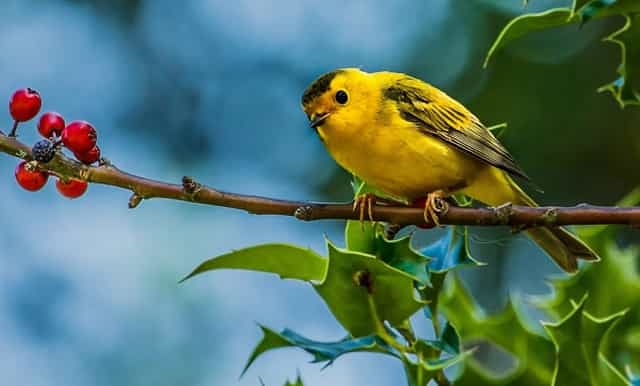 湖州学院2021录取通知书