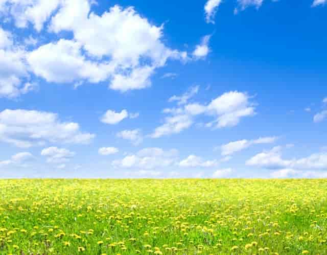 袖虎知识库：这个东西看似没用，实则少不了