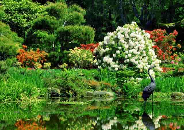 看袖虎如何在宠物行业中成为投资新宠！