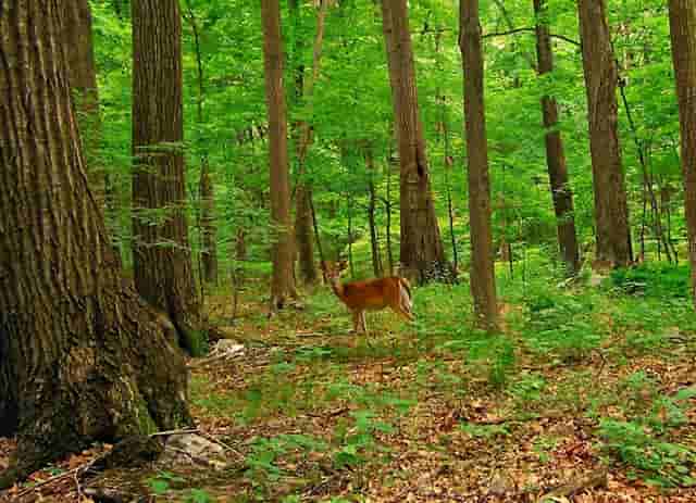 全民小康才是全面小康