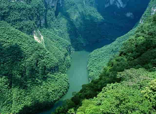 食物的消化与吸收名词解释(生理学消化和吸收名词解释)