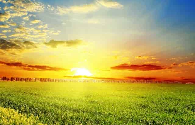 杏仁优护：老年人得了肥胖病怎么办？干货！