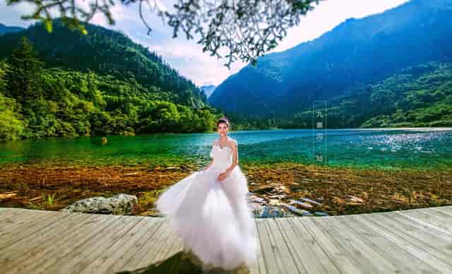 宠物托运死亡全赖垃圾托运？袖虎解密真相，托运是否黑心！