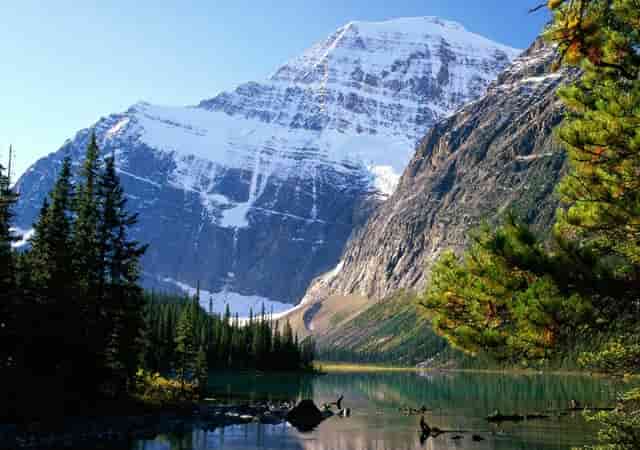 巴西和阿根廷比赛哪里可以看