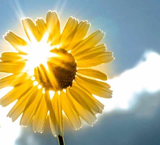 噪音太大，通话听不清？漫步者DreamPods蓝牙耳机解君愁