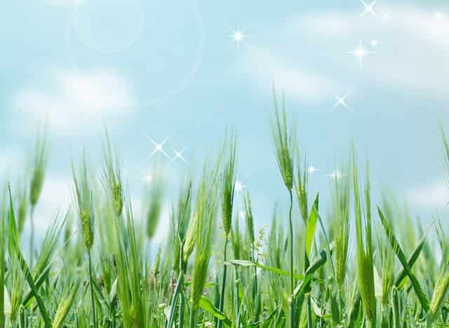 千车万人自驾中国“醉”美草原“99号公路”之旅暨《99号公路》网络微短剧项目启动