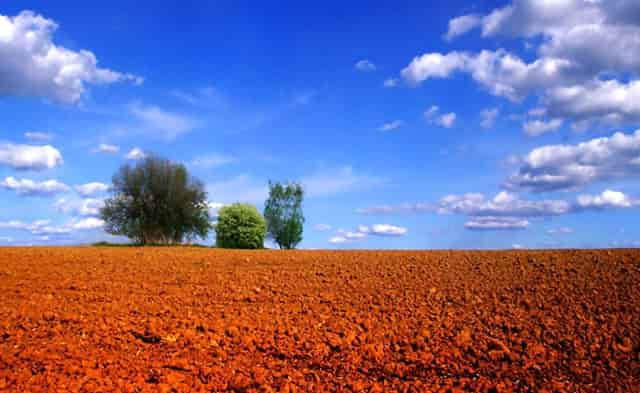 袖虎病猫攻略：猫指甲开裂可怕吗？别把自己吓到了