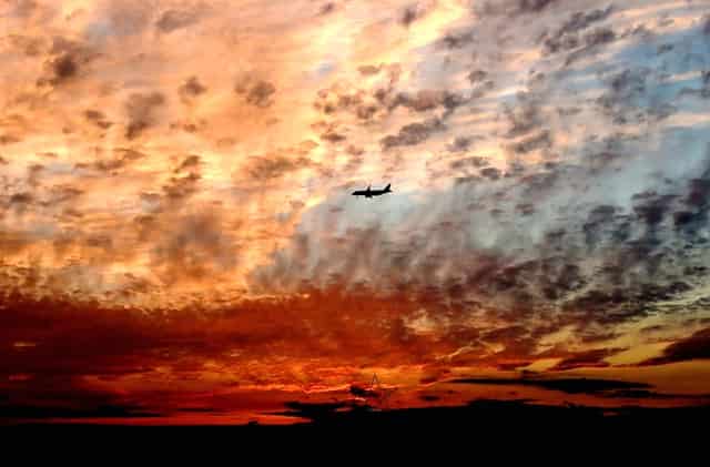 袖虎病猫攻略：猫的多囊肾是什么