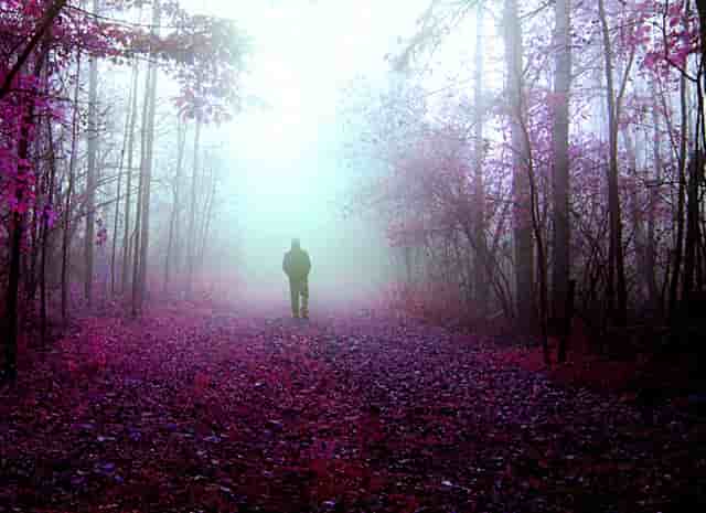 Google Pixel 5发表：反向充电、运镜功能