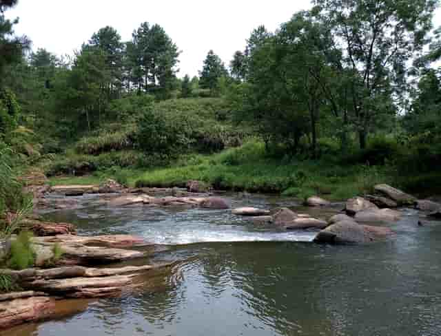 打疫苗好处的评论