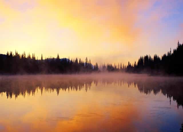 蔡嘉珍成功註冊理財規劃師，邁出專業領域新里程碑