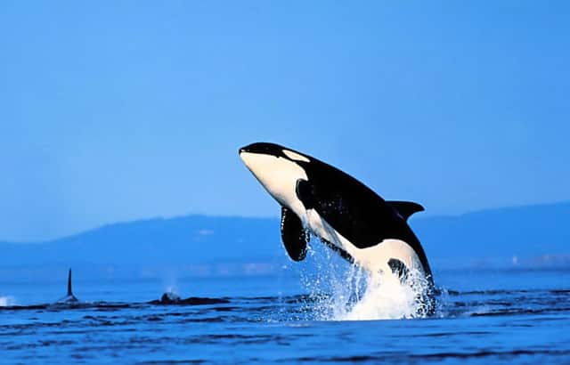 商贷与公积金贷款时间