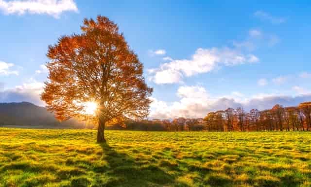 杏仁优护：老年人发现患有胰腺癌，如何日常护理？