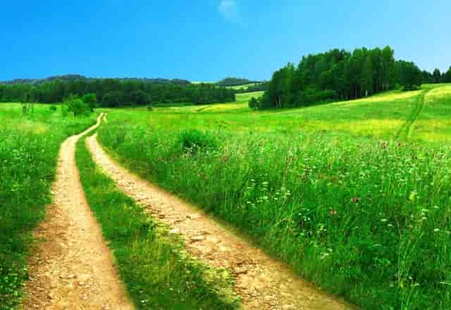 热火凑不齐8人出赛大名单 今天对阵绿军被推迟