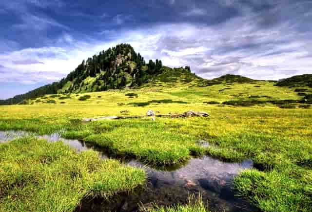 想做他媳妇(做媳妇的基本标准)