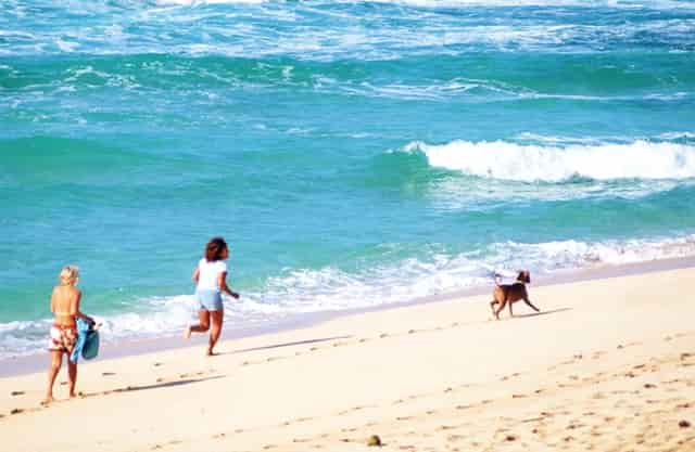 蔡嘉珍榮獲註冊理財規劃師資格