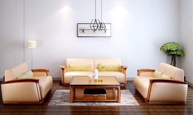 袖虎病猫攻略：买到猫癣的猫怎么办