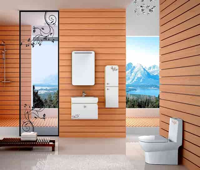 袖虎病猫攻略：猫猫上火那些事