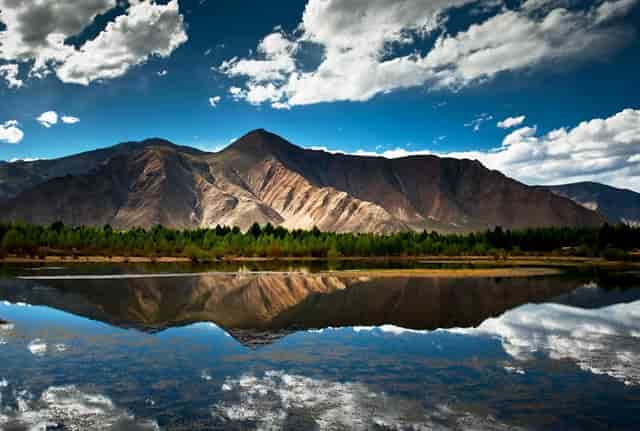 为什么不努力的孩子成绩好