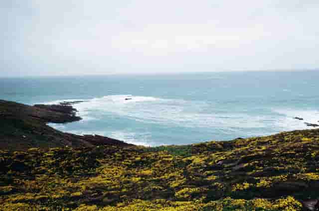 结婚岳父用语(结婚用语四字)