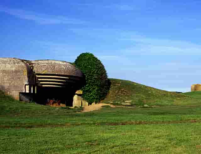 袖虎病猫攻略：猫咪眼睛受伤怎么办