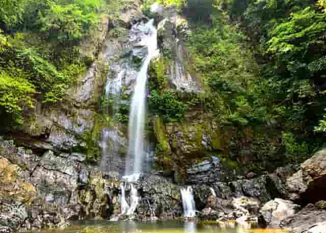 袖虎加盟故事：打消亲子家庭养宠疑虑