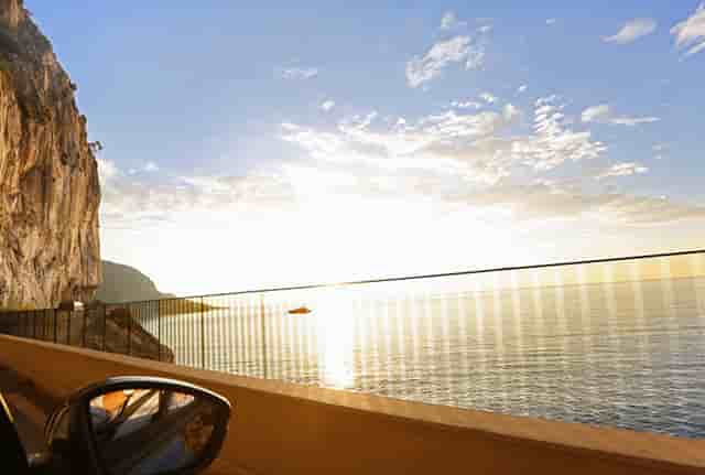 袖虎宠物解答：食品添加剂于猫咪而言都是垃圾吗？