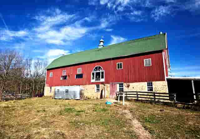 袖虎病猫攻略：预防自发性膀胱炎！