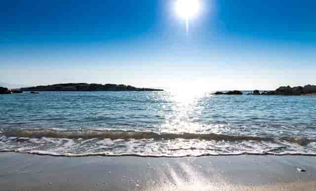 袖虎病猫攻略：猫咪睡姿的含义