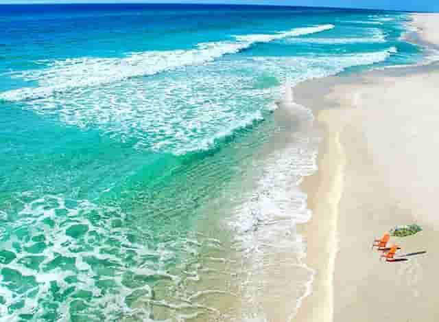 袖虎宠物商业调查：开宠物店如何采购活体资源