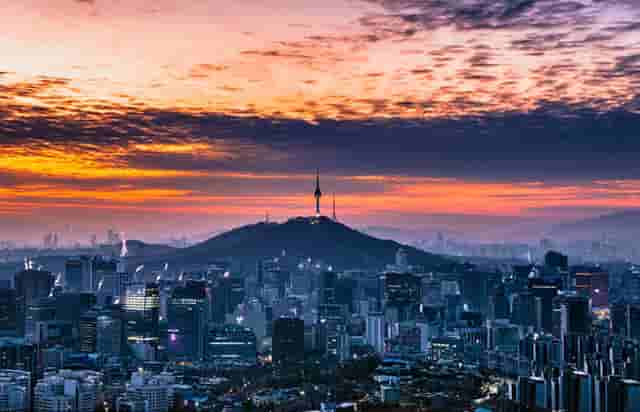 袖虎病猫攻略：猫多大可以配种？