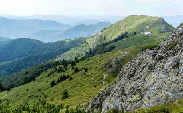 比亚迪上半年新车销量首进全球前十