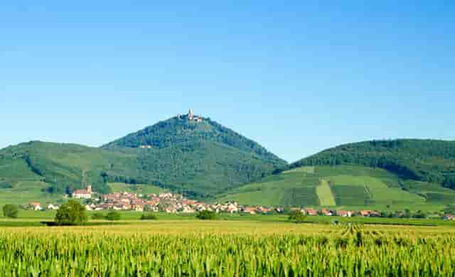 迈科期货亏损骗局？迈科教您如何截断亏损让利润奔跑！