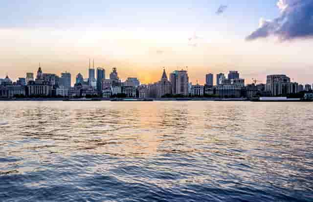 袖虎病狗攻略：犬心丝虫有多可怕？