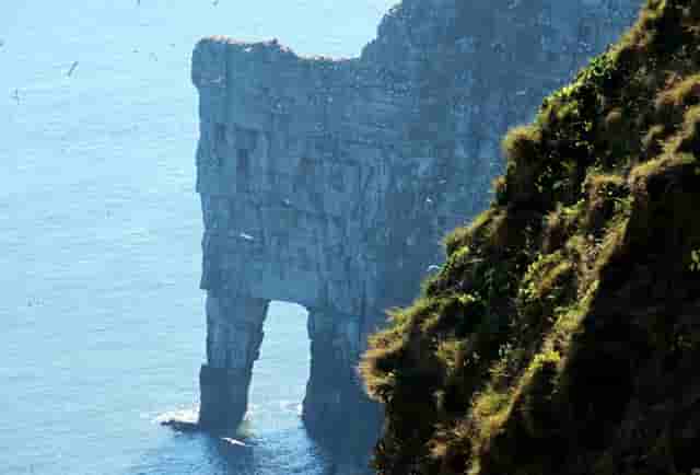 王牌7什么时候(王牌部队什么时候播出)