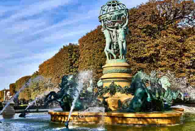 袖虎病狗攻略：狗狗也有白内障吗？