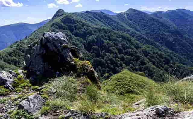 市场公平性何在“明目张胆直播”谁在随意切换天地板