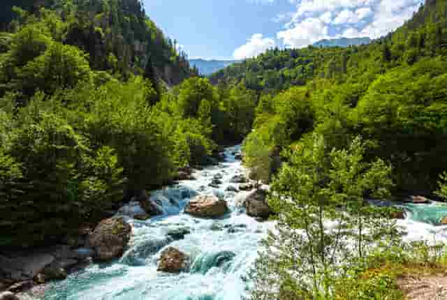 仔猪铁网床(仔猪保育床图片)