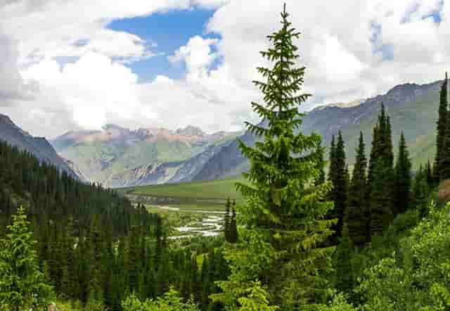 小滑板电动车推着走一下才能起步走