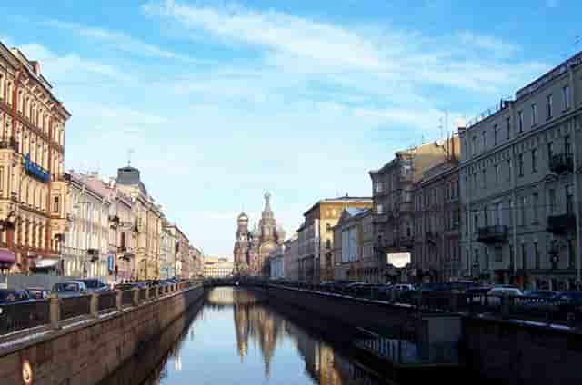 袖虎病猫攻略：猫生了跳蚤怎么办？