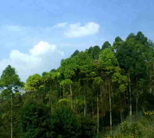 苏炳添几点出站(火车专车需要出站吗)