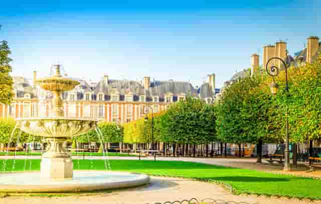 袖虎病猫攻略：猫眼睛颜色和耳聋有关系吗