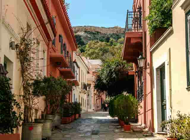 袖虎宠物店揭秘行业骗局：开宠物店有没有暴利？(1)