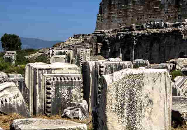 袖虎病猫攻略：猫咪突然不吃东西，很可能是这个原因