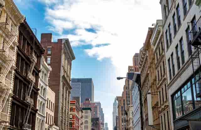 袖虎病猫攻略：猫咪感冒怎么办