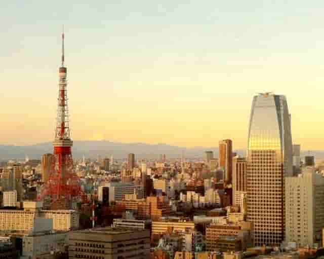 袖虎病猫攻略：加菲猫为什么一直流眼泪