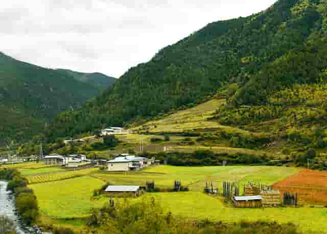 3M欧米茄蝶飞系列424.13.27.60.55.001腕表