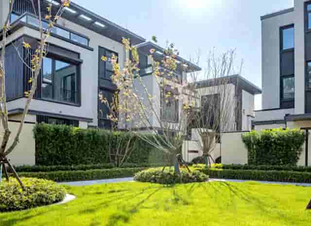 蔡嘉珍成功獲得註冊理財規劃師資格